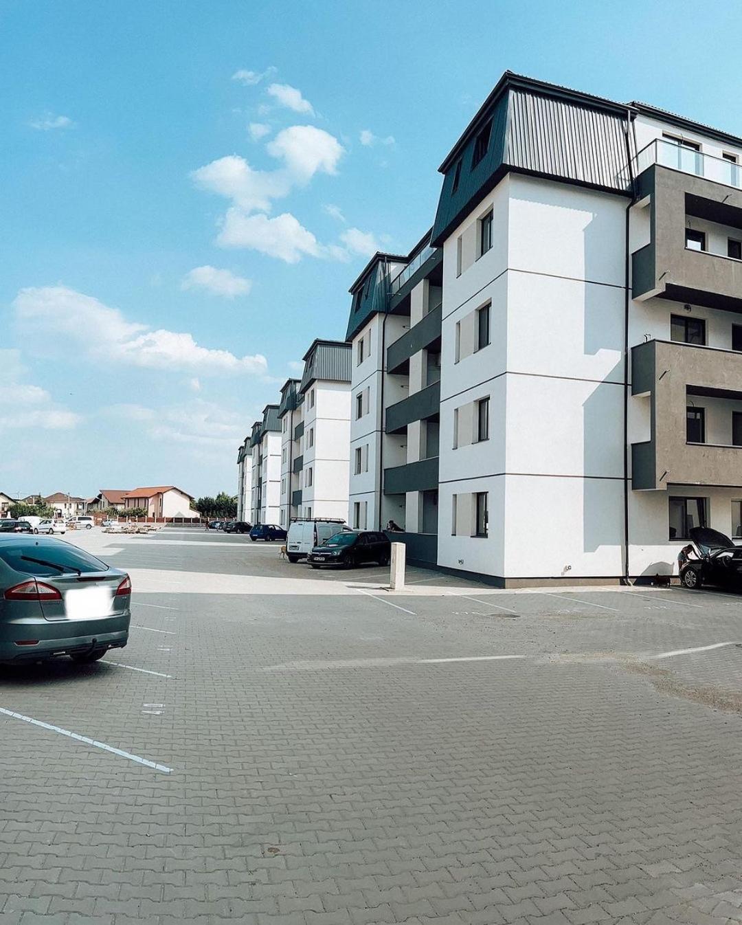 Vibrant Studio Timisoara Bagian luar foto